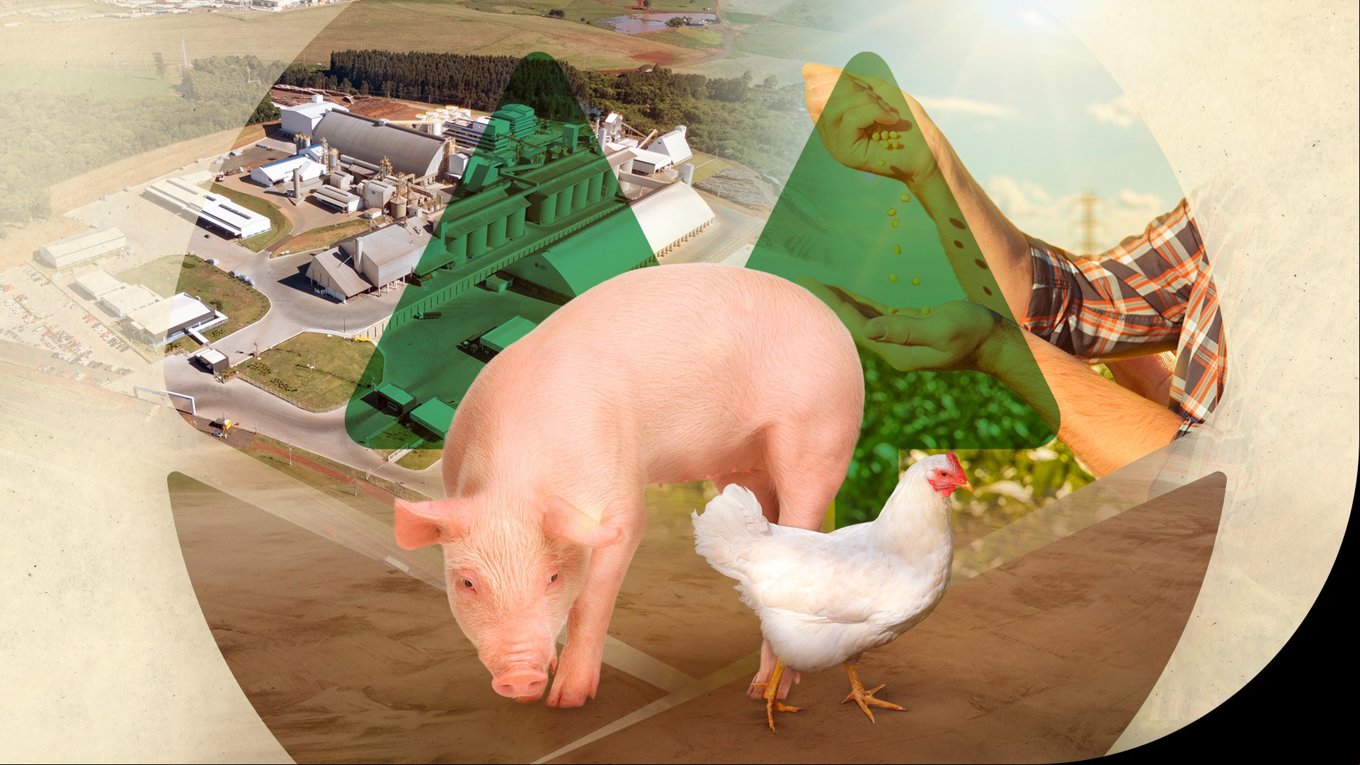 Banner Nutrisoja